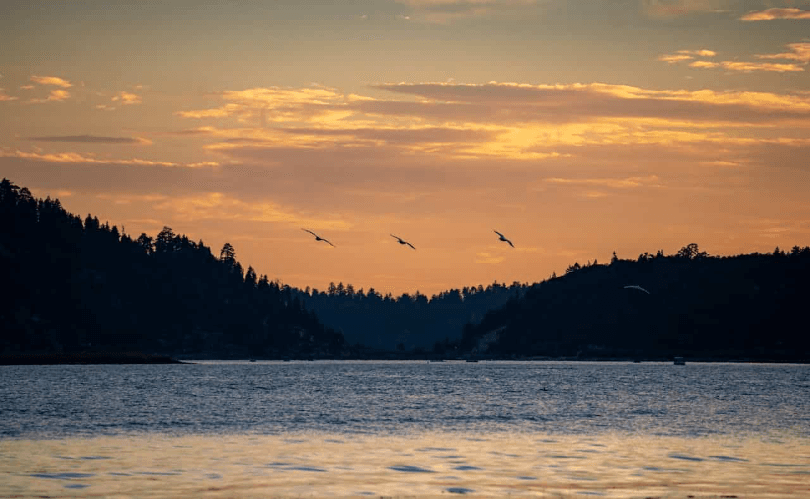 10 Reasons to Book a Lakefront Home in Big Bear, California in 2025