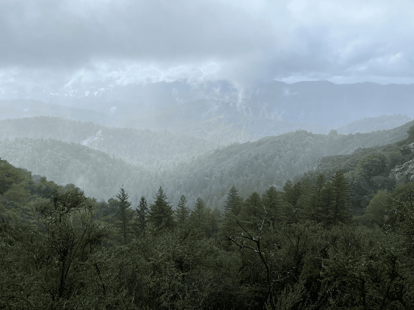 Top June 2024 Events in Big Bear CA