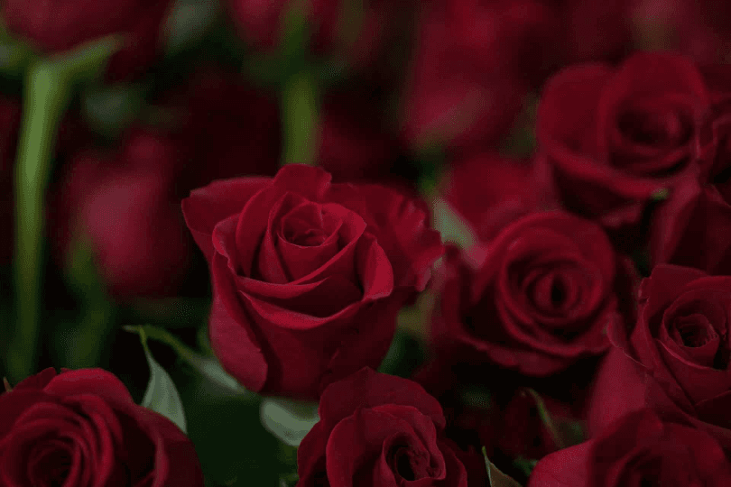 Make Valentine’s Day 2024 Special in Big Bear