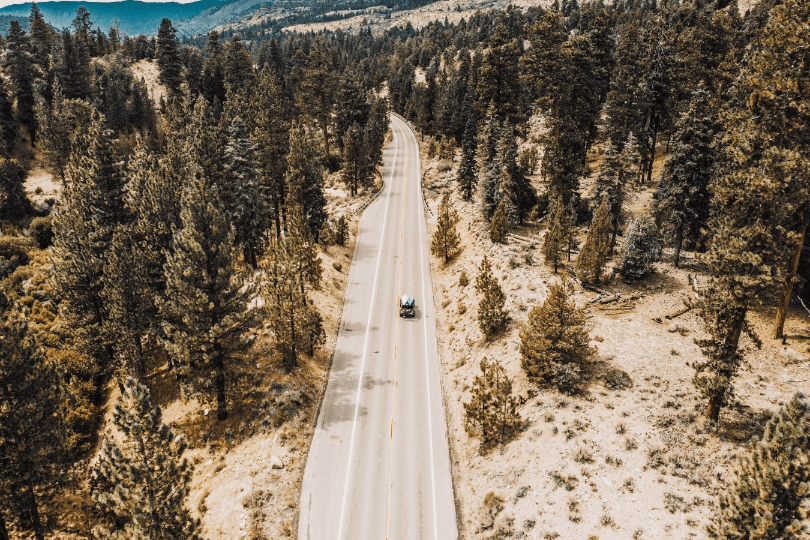 Plan a Spring Road Trip to Big Bear, California