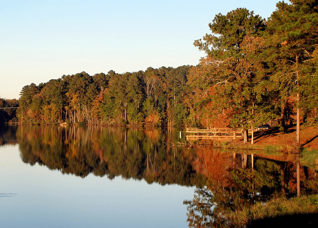  5 Fun Big Bear Facts